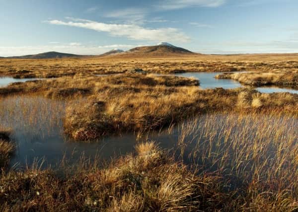 RSPB Forsinard Flows nature reserve, with snow-capped Ben Griam in the distance. Picture: Eleanor Bentall/RSPB