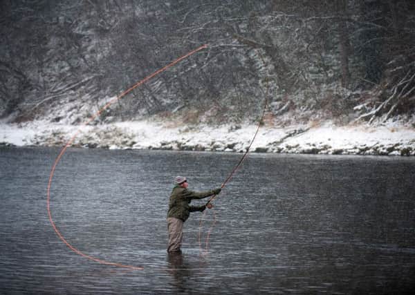 Anglers fish in the River Spey during the opening of the salmon fishing season on the Spey in Aberlour, Speyside. Picture: ANDY BUCHANAN/AFP/Getty Images.