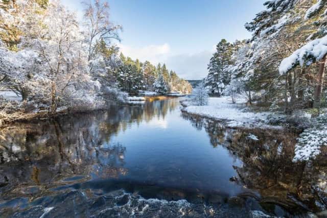 River Luineag flowing into Loch Morlich in the Cairngorms National Park of Scotland. Pic: Shutterstock by Jan Holm