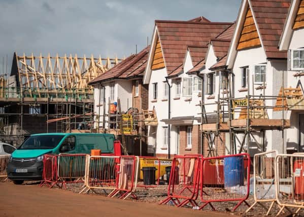 About 90 per cent of the timber used in construction in Britain is imported from the EU. Photograph: Getty Images