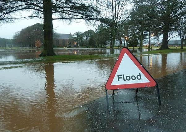 Flooding can be prevented by planting trees and building 'leaky dams' on streams