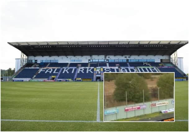 A general view of Falkirk Stadium and, inset, the fan in the tree. Main picture: SNS Group