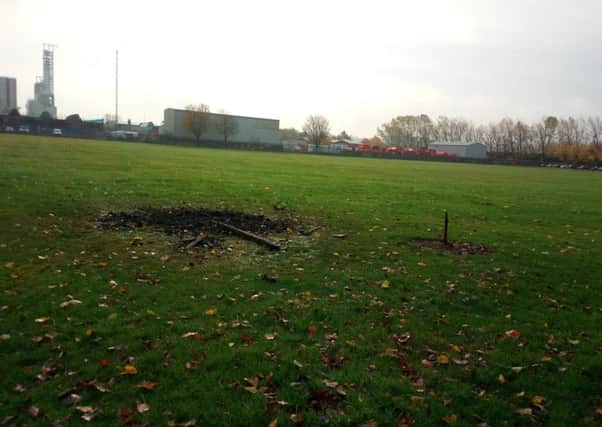 Vandals thoughtlessly chopped down a tree growing in Inchyra Park, Grangemouth, to use as fuel for their impromptu bonfire