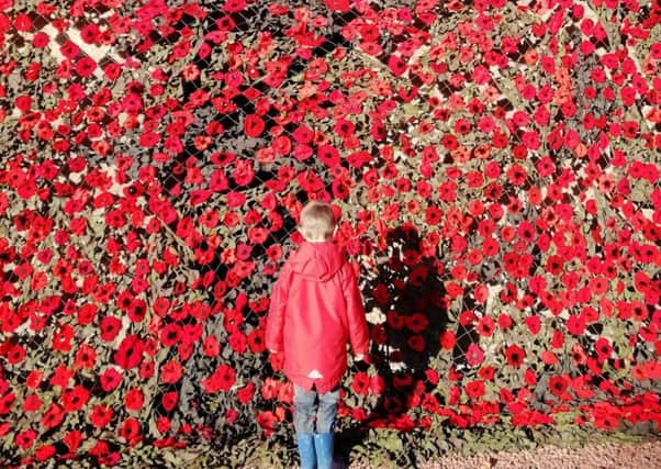 Youngster Harry Hughes takes in the poppies at Carmunnock Parish Church in Clarkston. Many events are taking place across East Renfrewshire this Sunday.