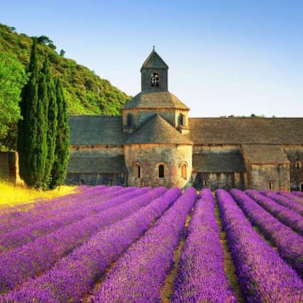 Abbey of Senanque and rows of lavender, close to the Pont Royal course, Provence