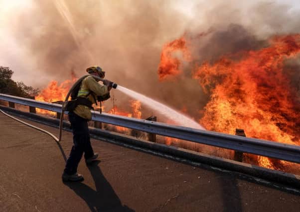 A firefighter battles a fire along the Ronald Reagan Freeway. Picture; AP