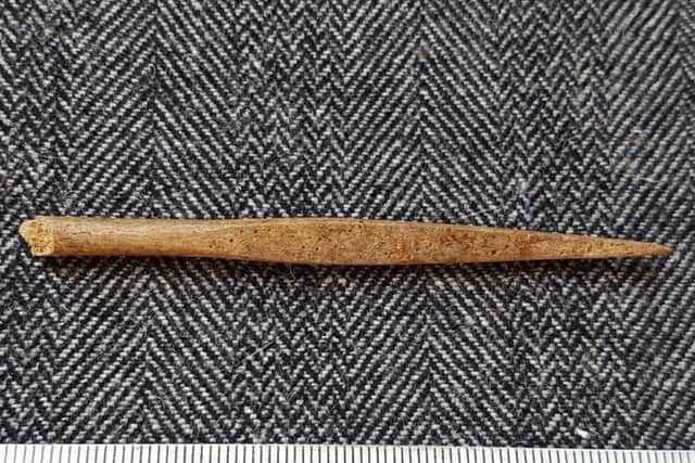The Viking-era bone pin found on Tiree. PIC: Contributed.