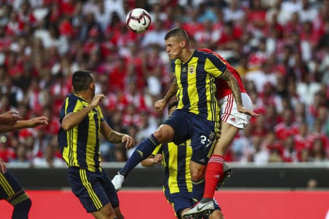 Martin Skrtel in action for Fenerbahce against Benfica. Picture: Getty Images