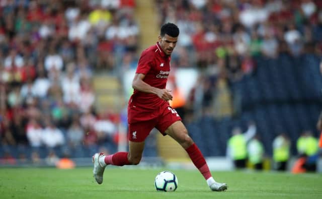 Dominic Solanke has opened up about his Liverpool future. Picture: Lynne Cameron/Getty
