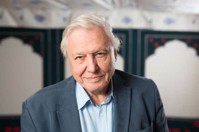 Sir David Attenborough. David Parry/PA Wire