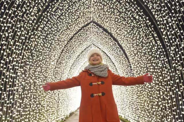 A cathedral of light and a light show at the Victorian Palm House are among the offerings in the Royal Botanic Garden Edinburgh. Picture: Greg Macvean