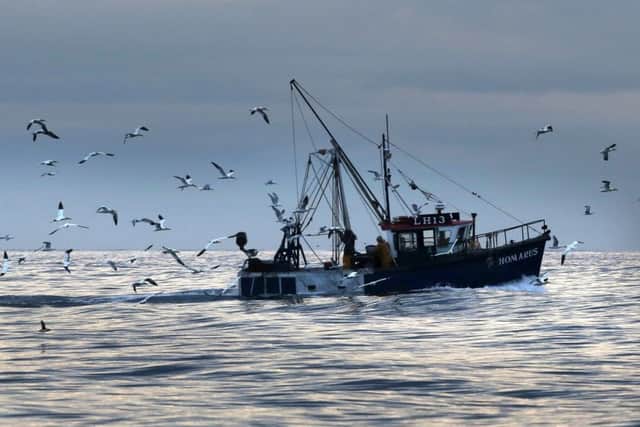Brexit could offer a golden opportunity to revive the Scottish fishing industry on a basis that respects the diversity of Scotlands fishing communities. Picture: PA
