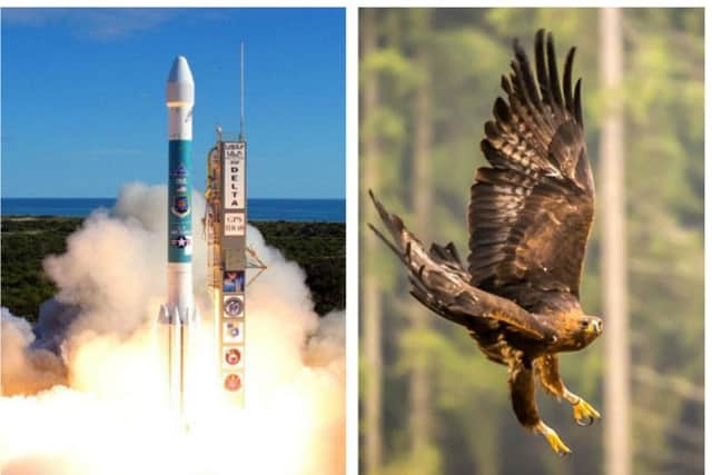 Scotland's spaceport is under threat due to eagles.