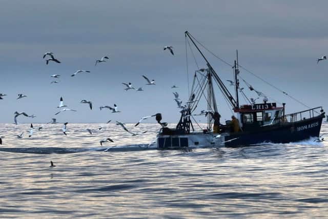 Environmental groups say nearly half of the North Seas fish stocks continue to be overexploited. Picture: David Cheskin/PA Wire