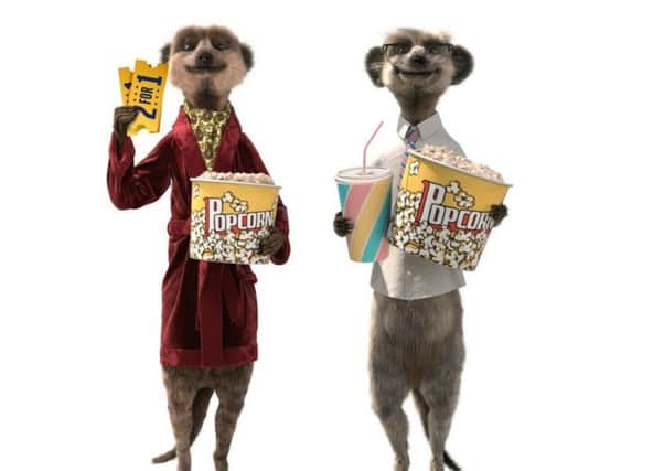 Aleksandr and Sergei know that loyal customers can find themselves paying more by not checking what is on offer elsewhere using the likes of comparethemarket.com
