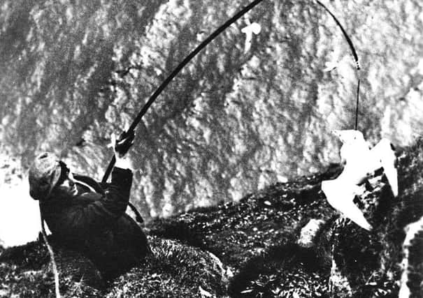 Catching seabirds on the cliffs of St Kilda by Margaret Fay Shaw PIC: from Eilean, ed Fiona J Mackenzie, courtesy of The Margaret Fay Shaw Photographic Collection, The Canna Archives, National Trust for Scotland and the Morton Charitable Trust team.