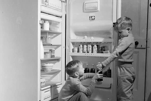 Refrigerators first became widely used in the 1920s. But believe it or not, Scottish physician and chemist William Cullen is credited with inventing the basis for modern refrigeration over 150 years earlier in the mid-1700s.