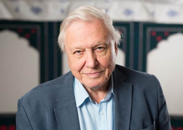 Sir David Attenborough was speaking on behalf of the UN's "People's Seat" initiative to give ordinary people a voice. Picture: PA Wire