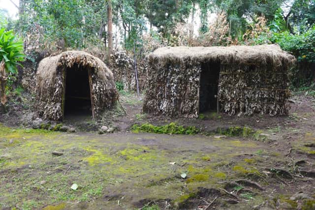 Traditional Batwa homes-huts on the Gahinga Batwa Heritage Trail. Picture: Lisa Young