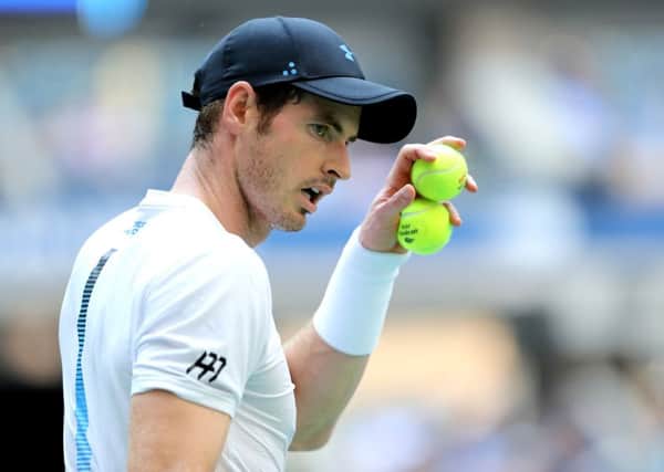 Andy Murray is a five-time finalist at the Australian Open. Picture: Elsa/Getty Images