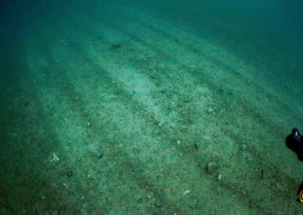 Dredge tracks on the seabed. Picture: Howard Wood