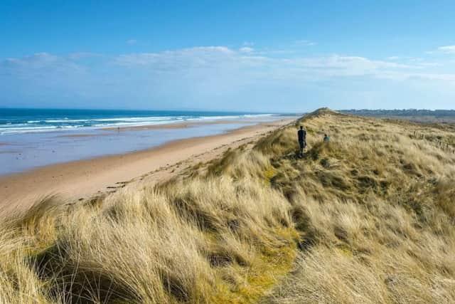Coul Links dune reserve in Embo, Scotland. The reserve is under threat from US billionaire developers who are looking to construct an 18-hole golf course, threatening the existence of the  Fonseca's seed fly, native only to Northern Scotland. Picture: SWNS