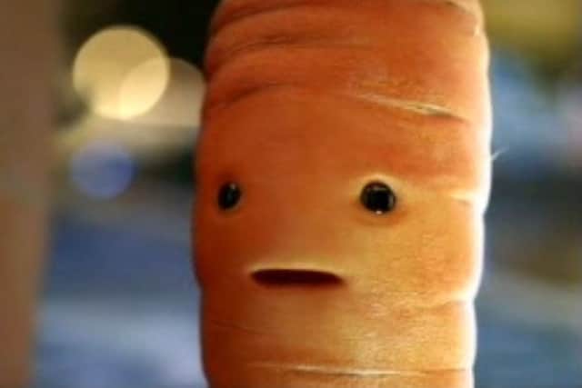 Screen grabbed image issued by the Advertising Standards Authority (ASA) from a Christmas television ad for Aldi alcohol featuring the animated Kevin the Carrot that has been banned for appealing strongly to children.
