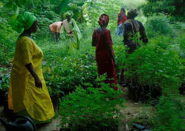 During a three-year programme in Podor, northern Senegal, women were empowered to lead 1,866 farmers in adapting to regenerative agriculture, transforming over 21 hectares of barren land