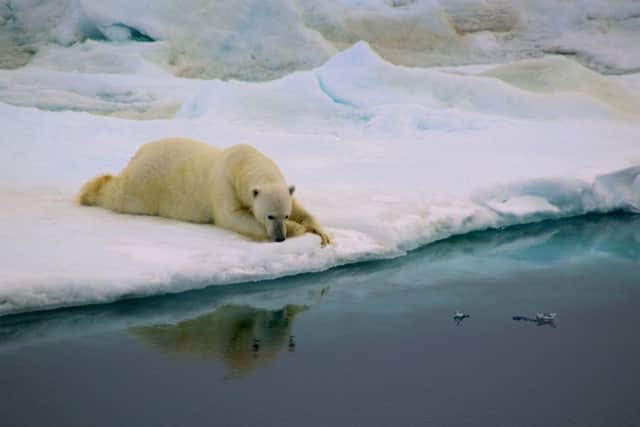 Only two in five of Scotlands smaller firms feel prepared for risks posed by climate change, according to WWF Scotland. Picture: Antonia Doncila
