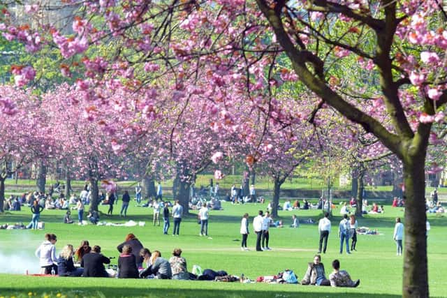 Edinburgh residents enjoy the sunshine in The Meadows. Picture; Jon Savage