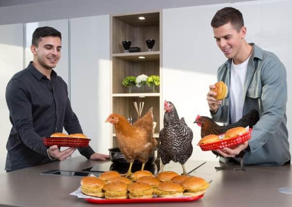Daring Foods co-founders Eliott Kessas (left) and Ross Mackay with ambassadors the 'Kardashi-hens'. Picture: Contributed
