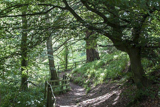 Rumbling Bridge Gorge in Kinross-shire was recommended by reader Andrea Birnie. The tiny village is dominated by the double bridge and deep gorge into the River Devon with walks and trails taking visitors into the beauty spot.