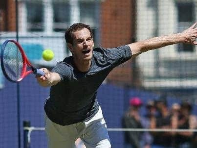 Andy Murray played at Queen's Club but decided against taking to the courts at Wimbledon due to a hip injury which has plagued the latter stage of his career