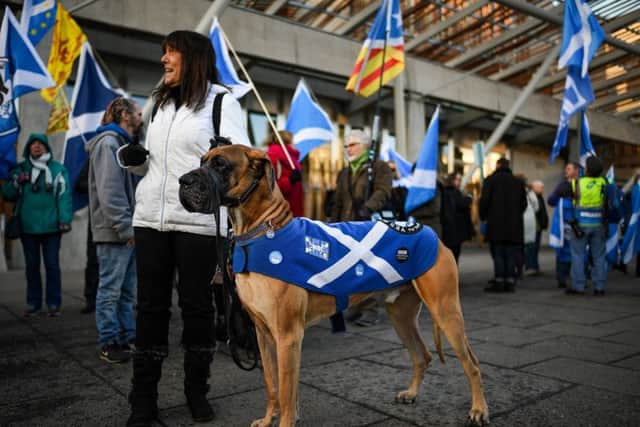 Independence campaigners outside the Scottish Parliament gathered to make the case for a second referendum. Picture: TSPL
