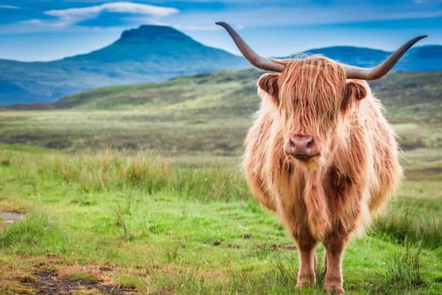Official figures found that the number of European visitors to Scotland rose by 22 per cent in the year to the end of September. Picture: Getty