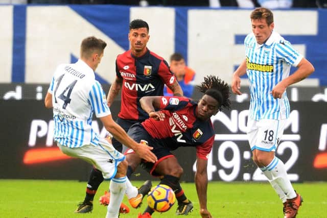Stephane Omeonga in the thick of the action for Genoa against S.P.A.L. in a Serie A clash. Picture: Getty Images