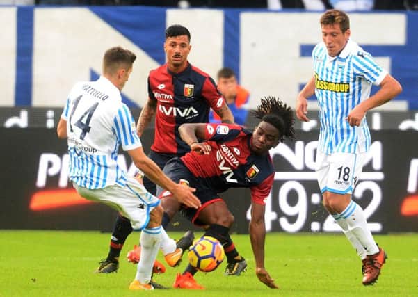 Stephane Omeonga in the thick of the action for Genoa against S.P.A.L. in a Serie A clash. Picture: Getty Images