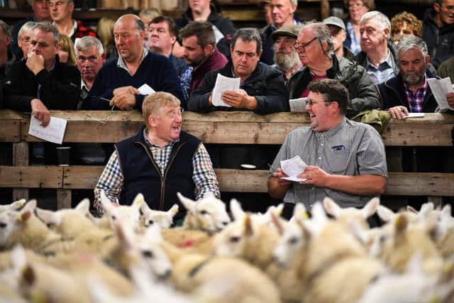 Farming is among the sectors singled out for a warning by the CBI  (Photo by Jeff J Mitchell/Getty Images)