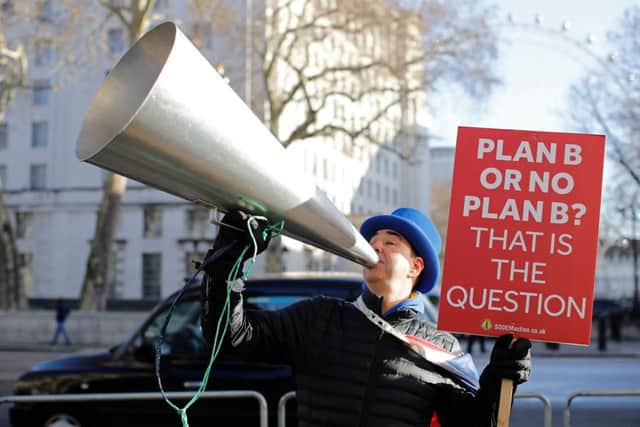 Anti-Brexit campaigner Steve Bray holds a placard as he demonstrates with a megaphone outside the Houses of Parliament on January 22. Picture: Tolga Akmen/ AFP