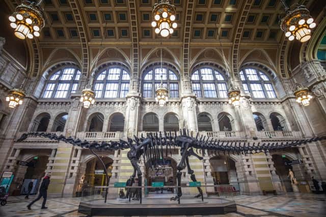 Dippy, the Natural History Museum's diplodocus skeleton, is unveiled at Kelvingrove Art Gallery and Museum in Glasgow.