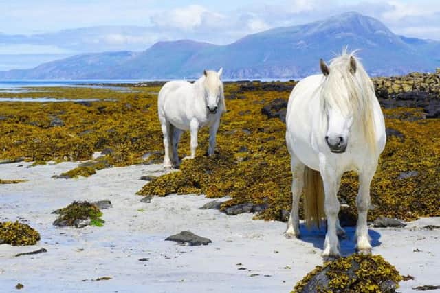 With its white sandy beaches, wild horses and far flung setting, the Isle of Muck is an idyllic setting for you and your partner to forge a lifelong commitment.