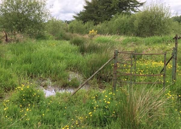 Miller Homes has been granted planning permission to build 291 homes on this site in Moodiesburn