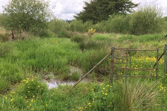 Miller Homes has been granted planning permission to build 291 homes on this site in Moodiesburn