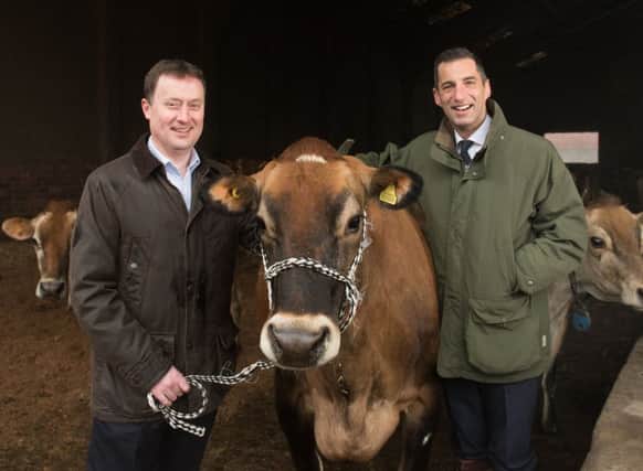 Group buying director of Aldi Scotland Graham Nicolson and Robert Graham of Graham's the Family Dairy down on the farm among dairy cows near Stirling. Picture: Contributed