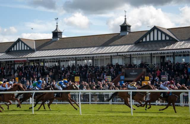Musselburgh has lost its richest jumps meeting of the year twice, first to frost and now an outbreak of equine flu which has crippled British racing. Picture: Andrew O'Brien