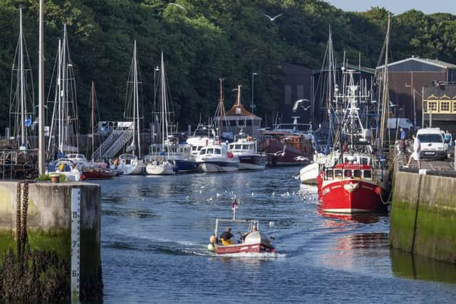 Eyemouth harbour remains a popular east coast attraction. Picture: Kevin O'Brien