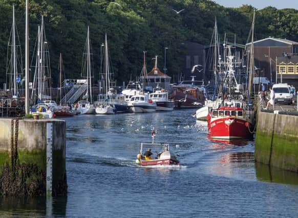 Eyemouth harbour remains a popular east coast attraction. Picture: Kevin O'Brien