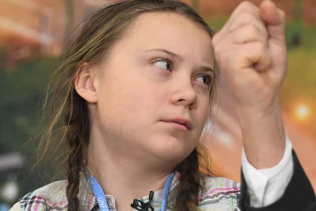 Greta Thunberg has been credited with sparking the movement