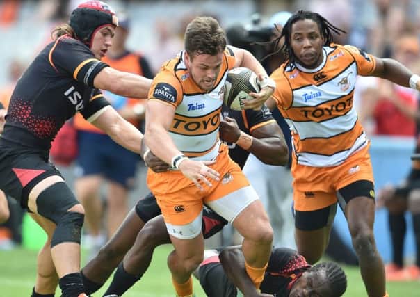 Nico Lee of the Toyota Cheetahs. Picture: Johan Pretorius/Gallo Images/Getty Images