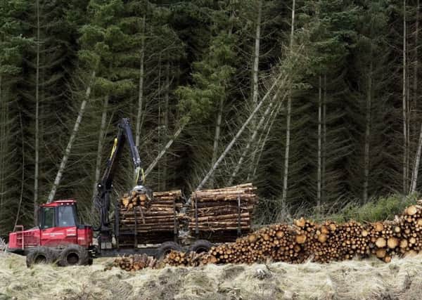 Timber harvesting in the Cloich Forest in the Borders. Picture: Neil Hanna